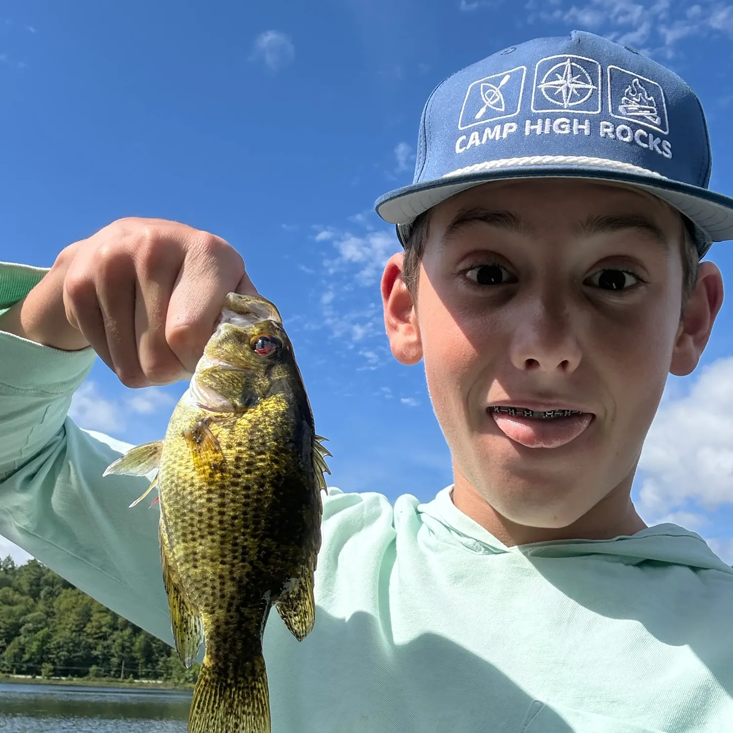 Rock bass caught on Fishbrain