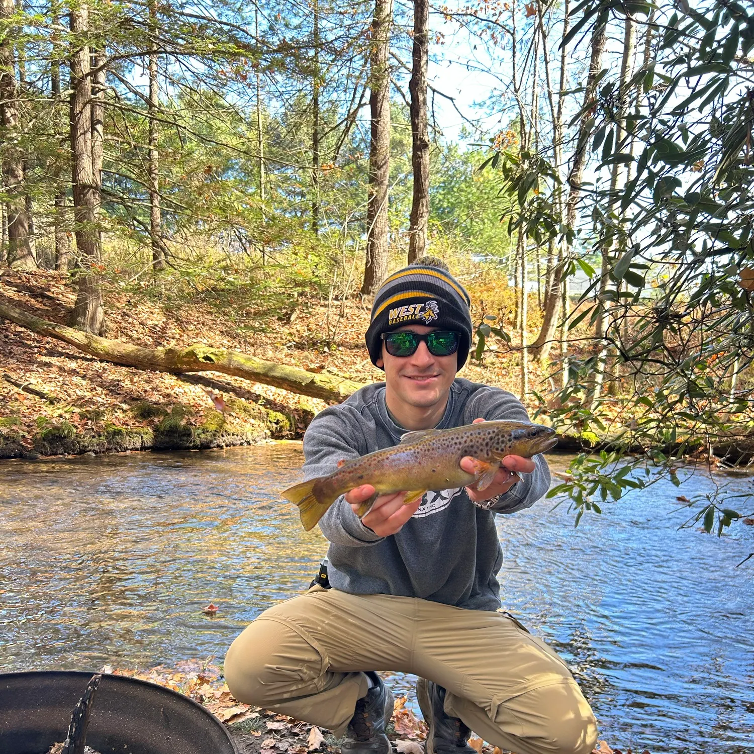 Brown trout caught on Fishbrain