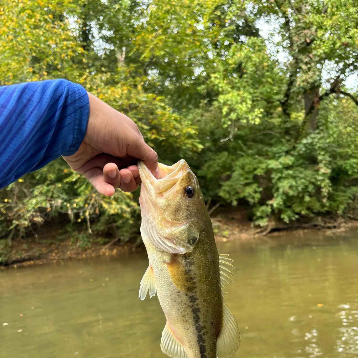Fish caught on Fishbrain