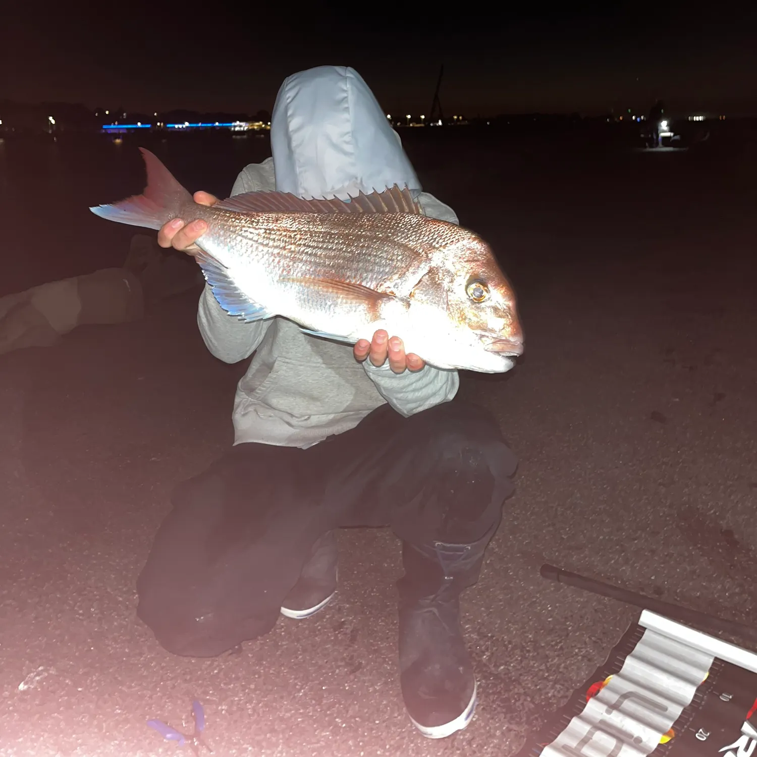 Australasian snapper caught on Fishbrain