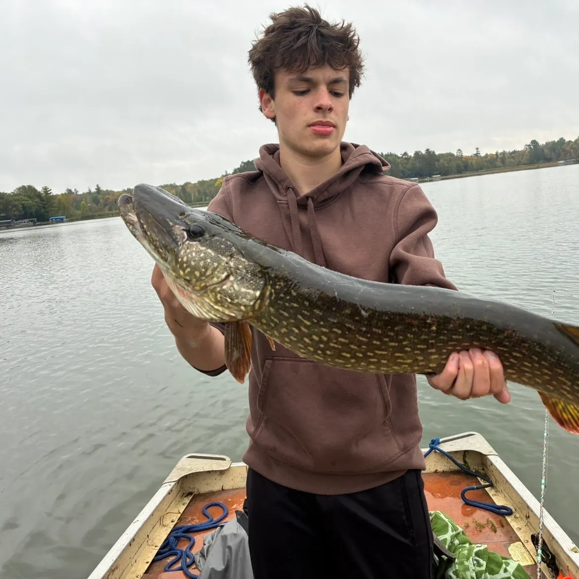 Northern pike caught on Fishbrain