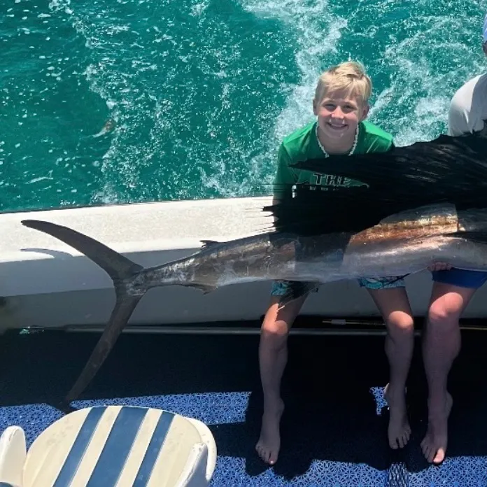 The most recent Atlantic sailfish catches on Fishbrain