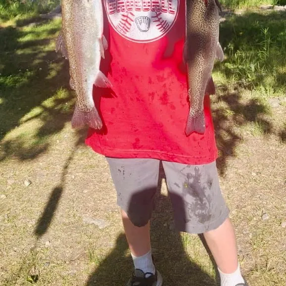 Rainbow trout caught on Fishbrain