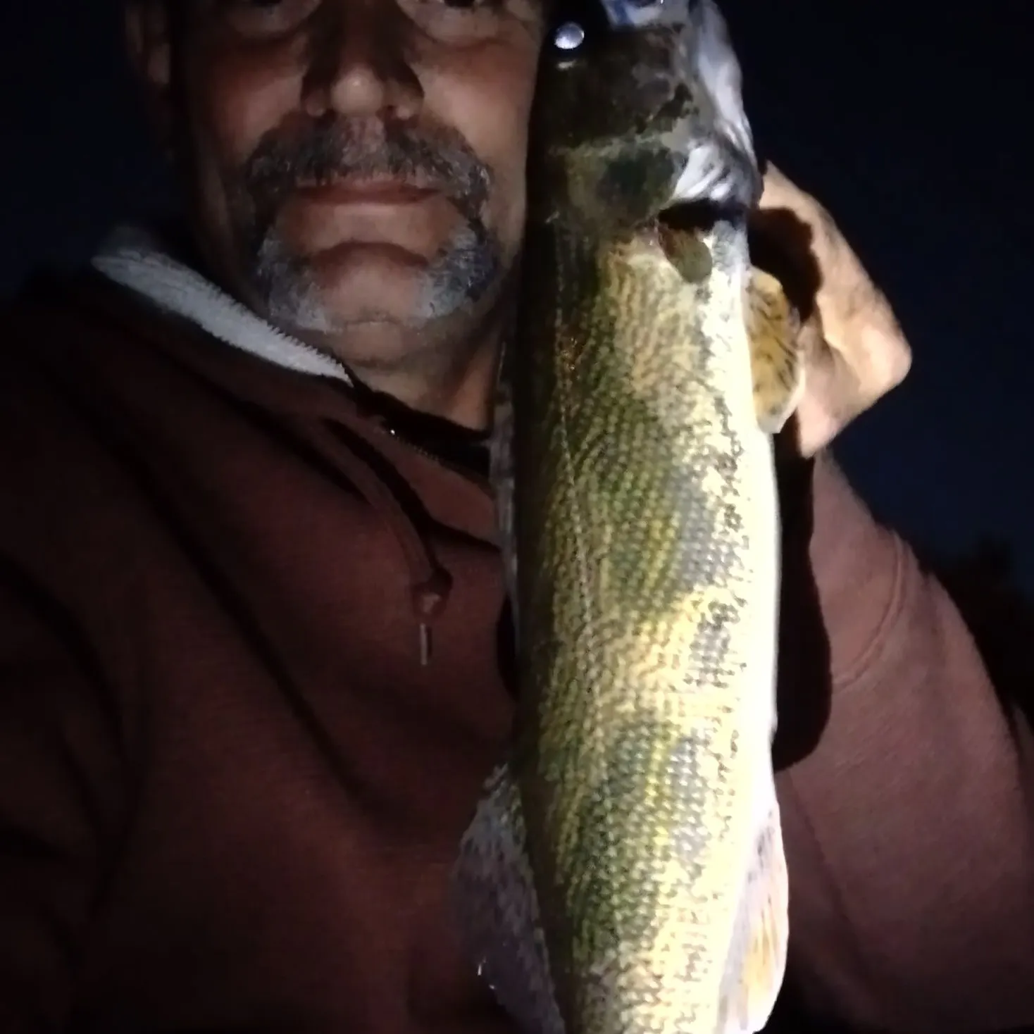 Sauger caught on Fishbrain