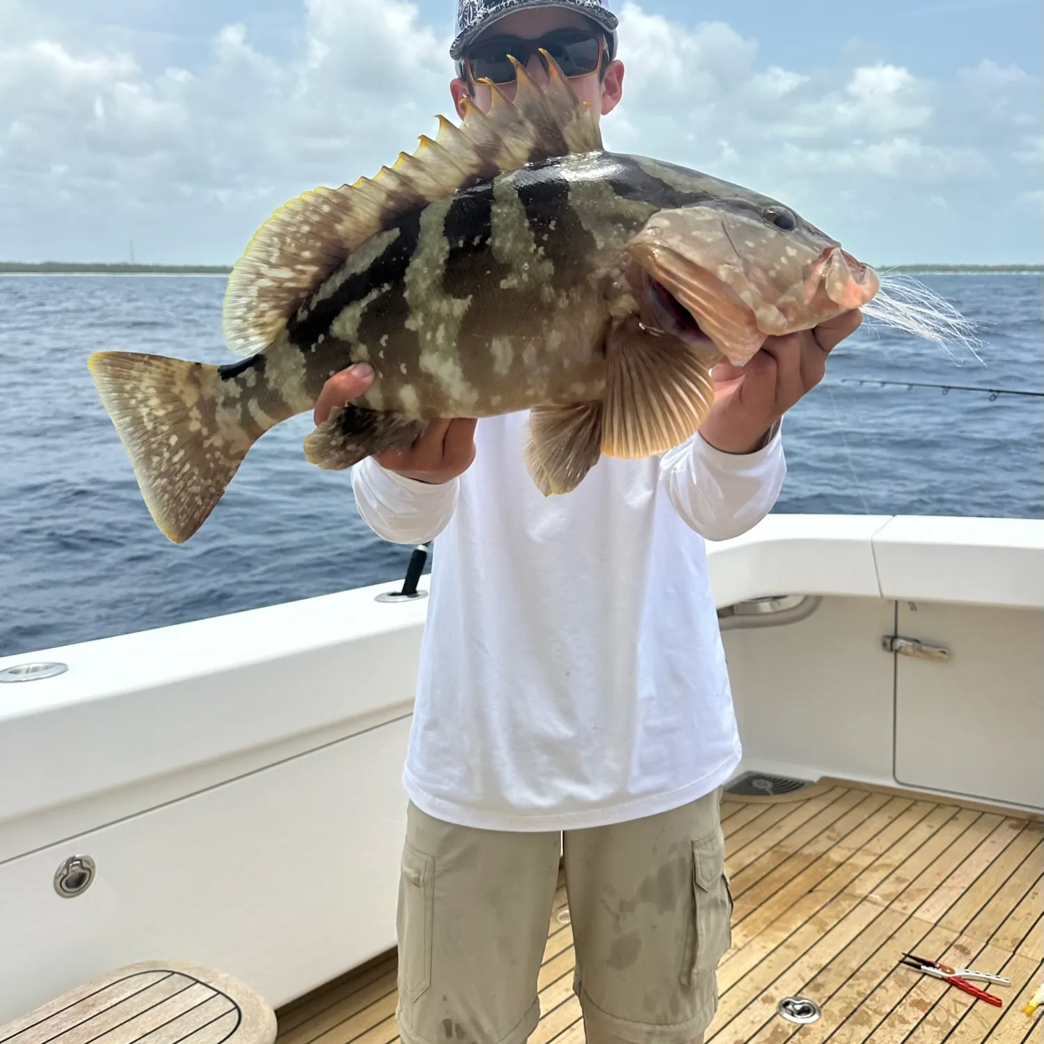 The most recent Nassau grouper catches on Fishbrain