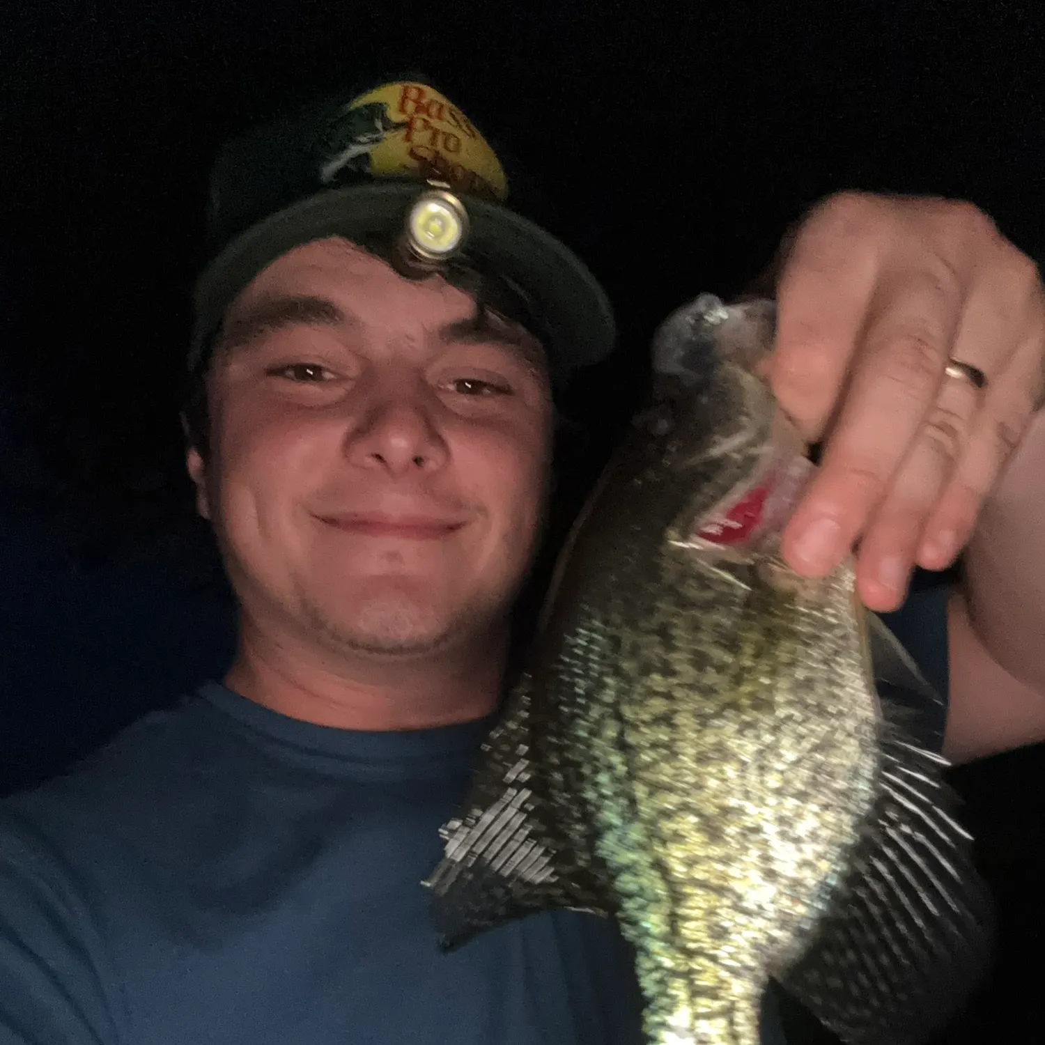 Black crappie caught on Fishbrain
