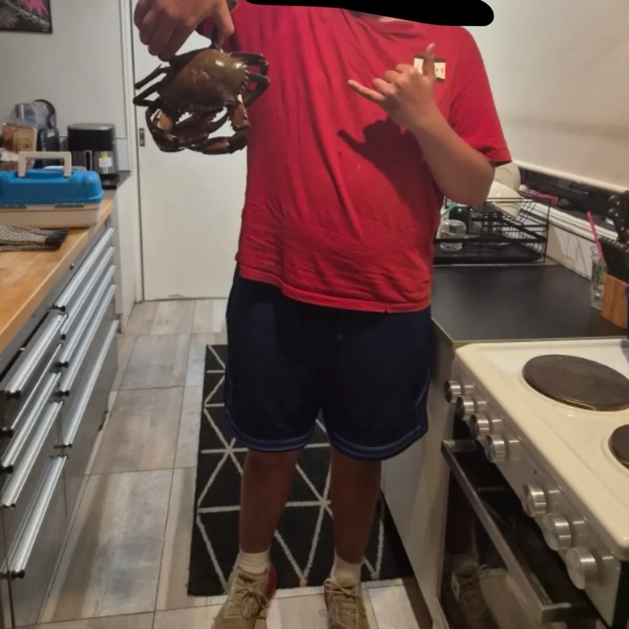 The most recent Giant mud crab catches on Fishbrain