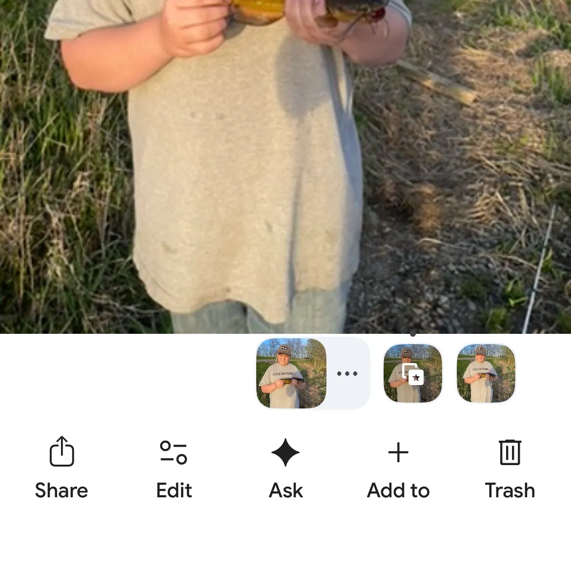 recently logged catches