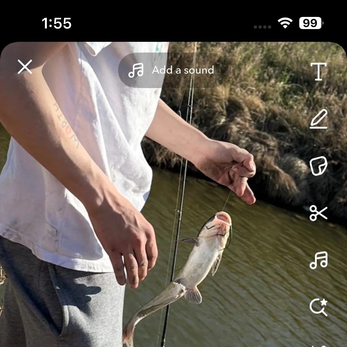 recently logged catches