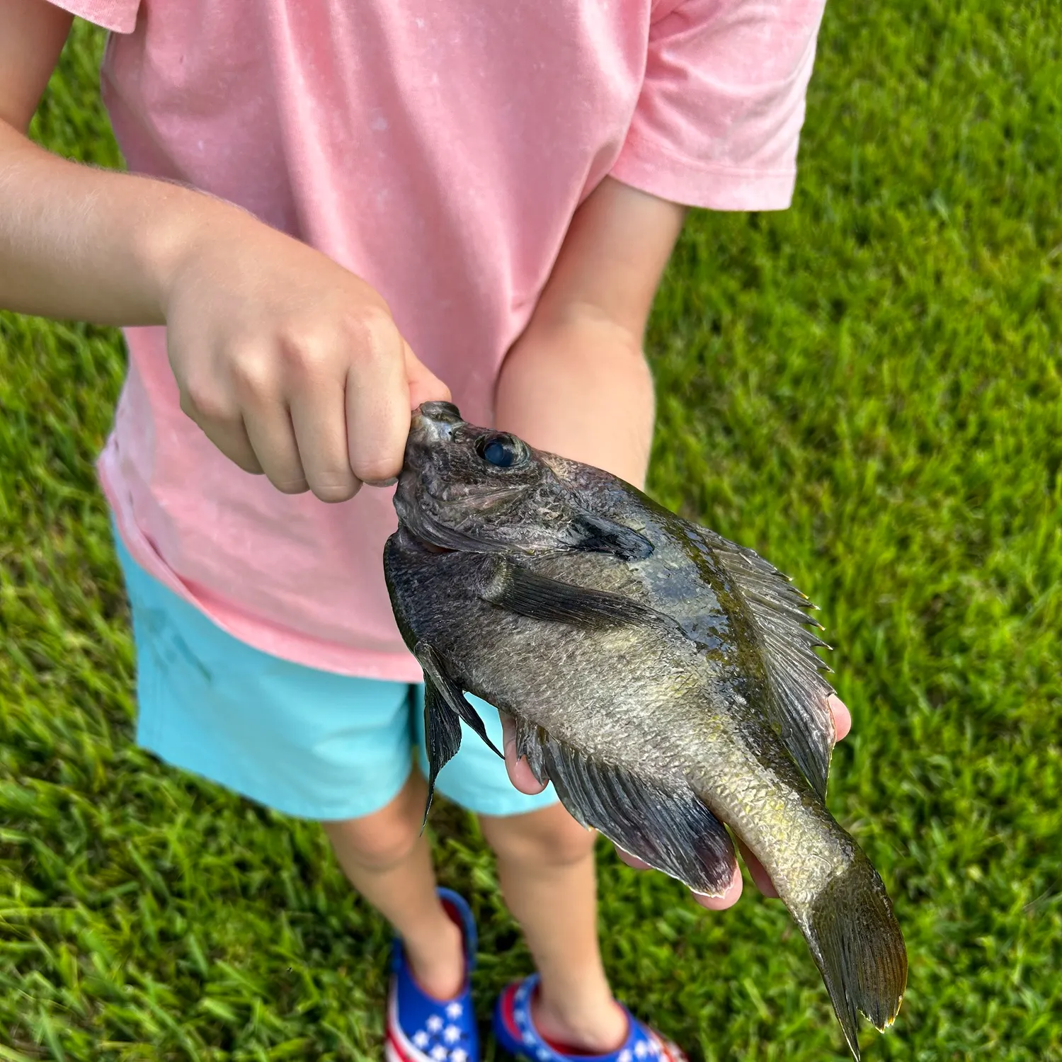 most liked catch image