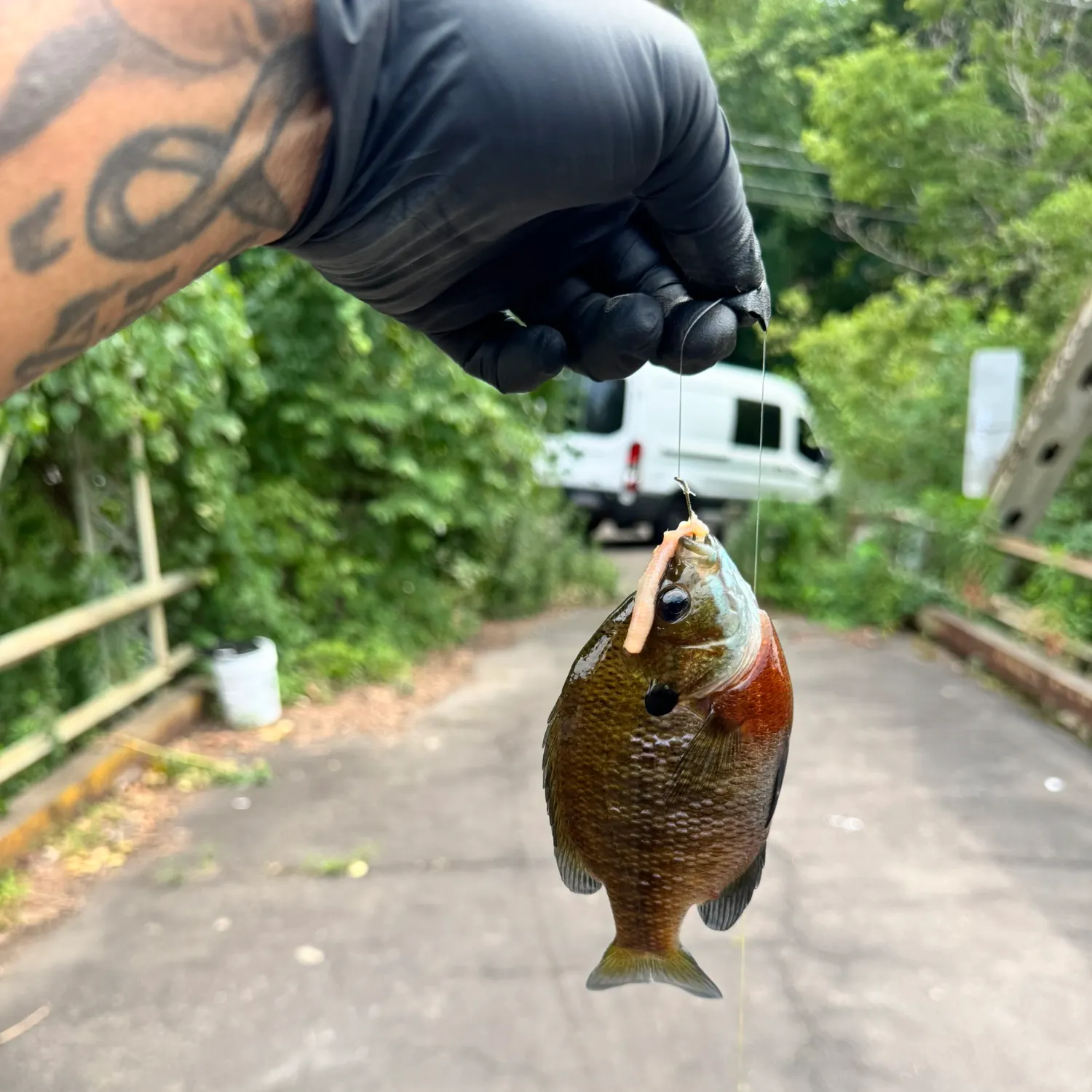 catch