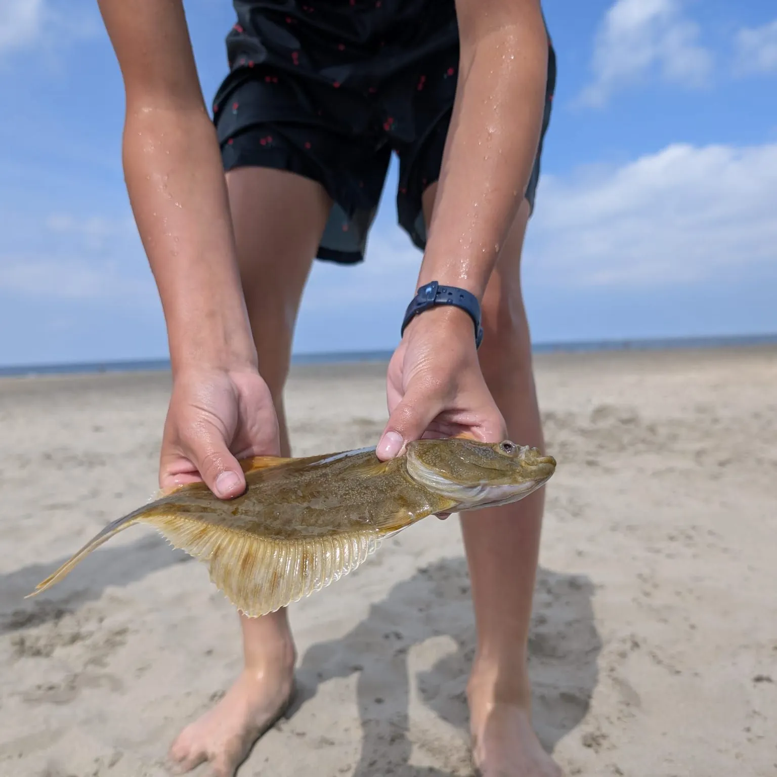 The most recent Common dab catches on Fishbrain
