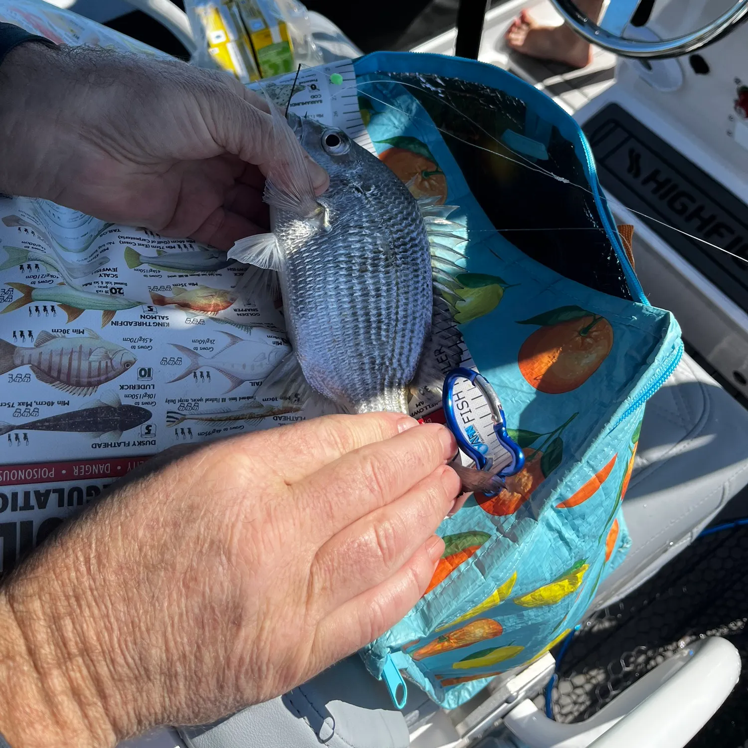 recently logged catches