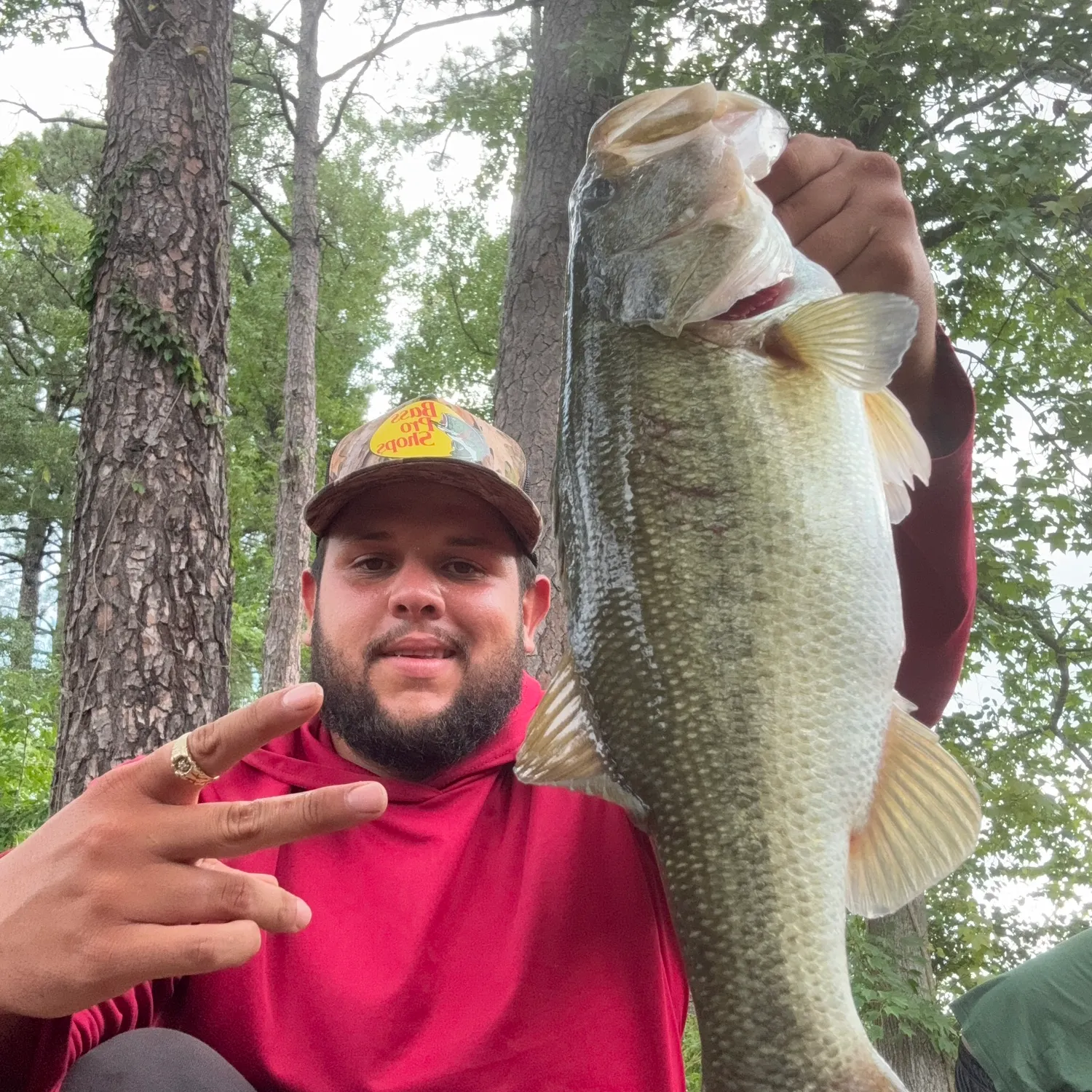 Largemouth bass caught on Fishbrain