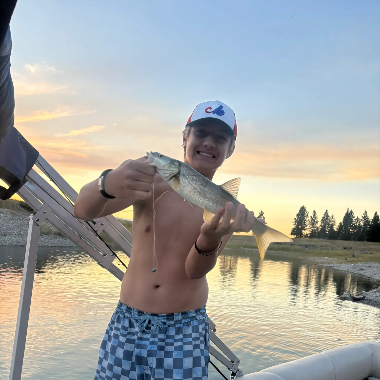 Northern pikeminnow caught on Fishbrain