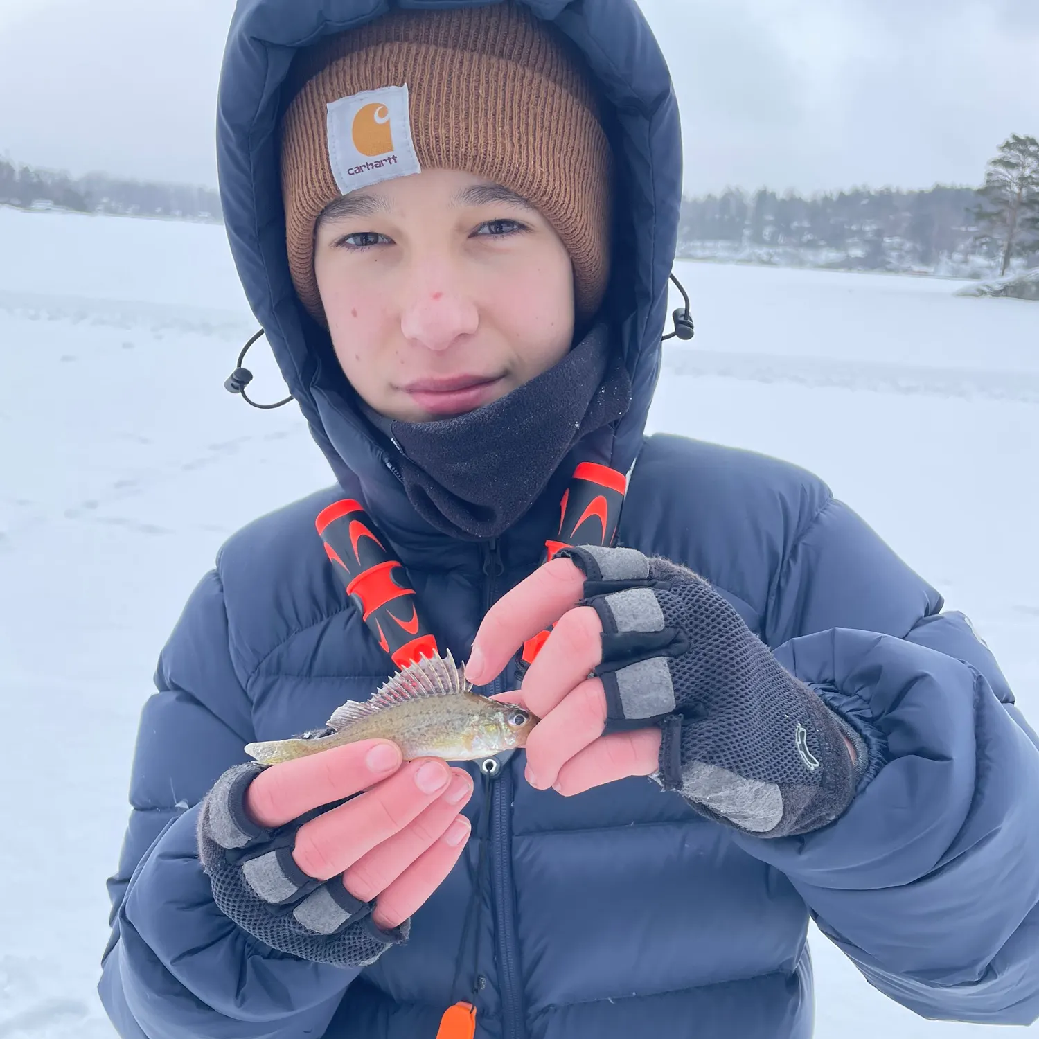 The most recent Eurasian ruffe catches on Fishbrain