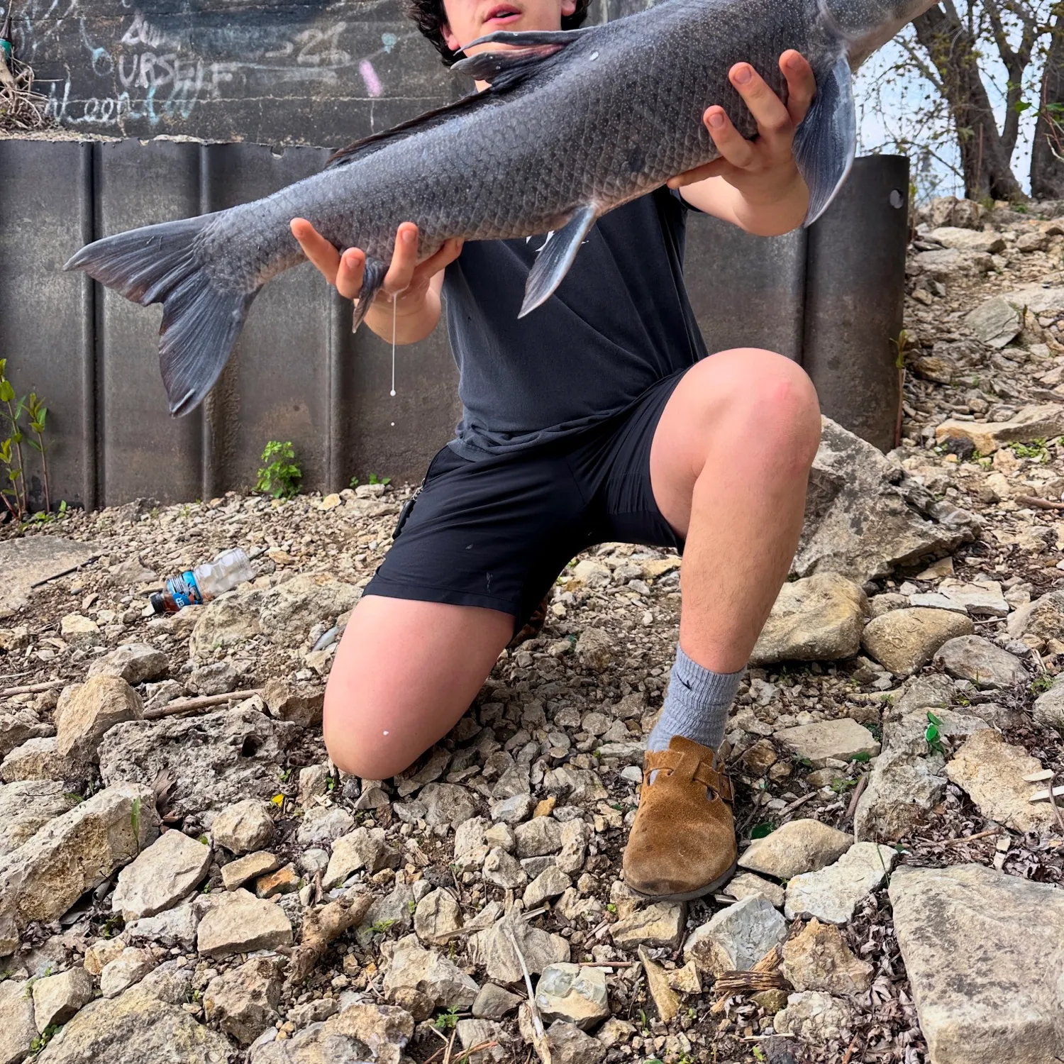 most liked catch image