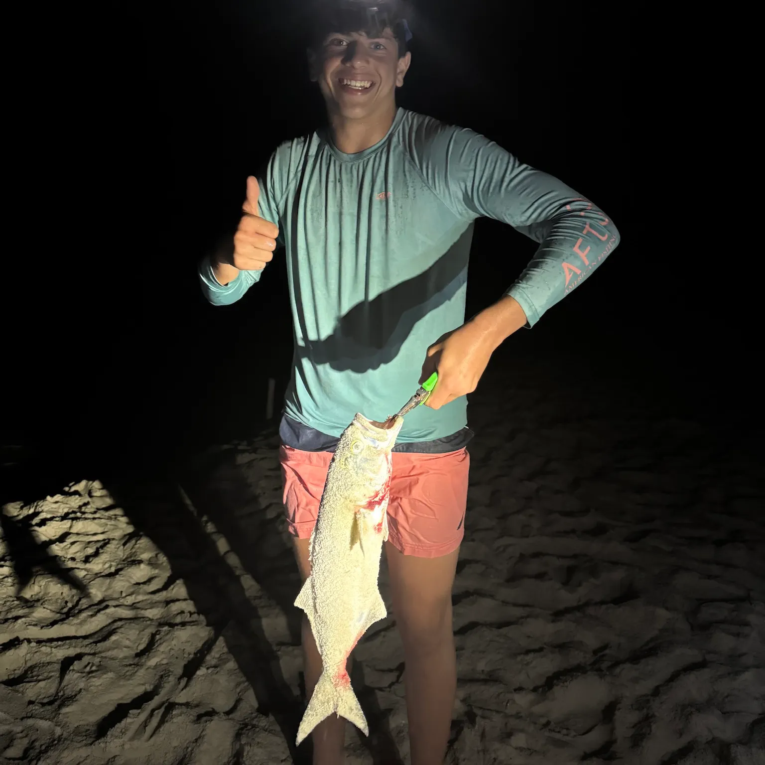 The most recent Bluefish catches on Fishbrain