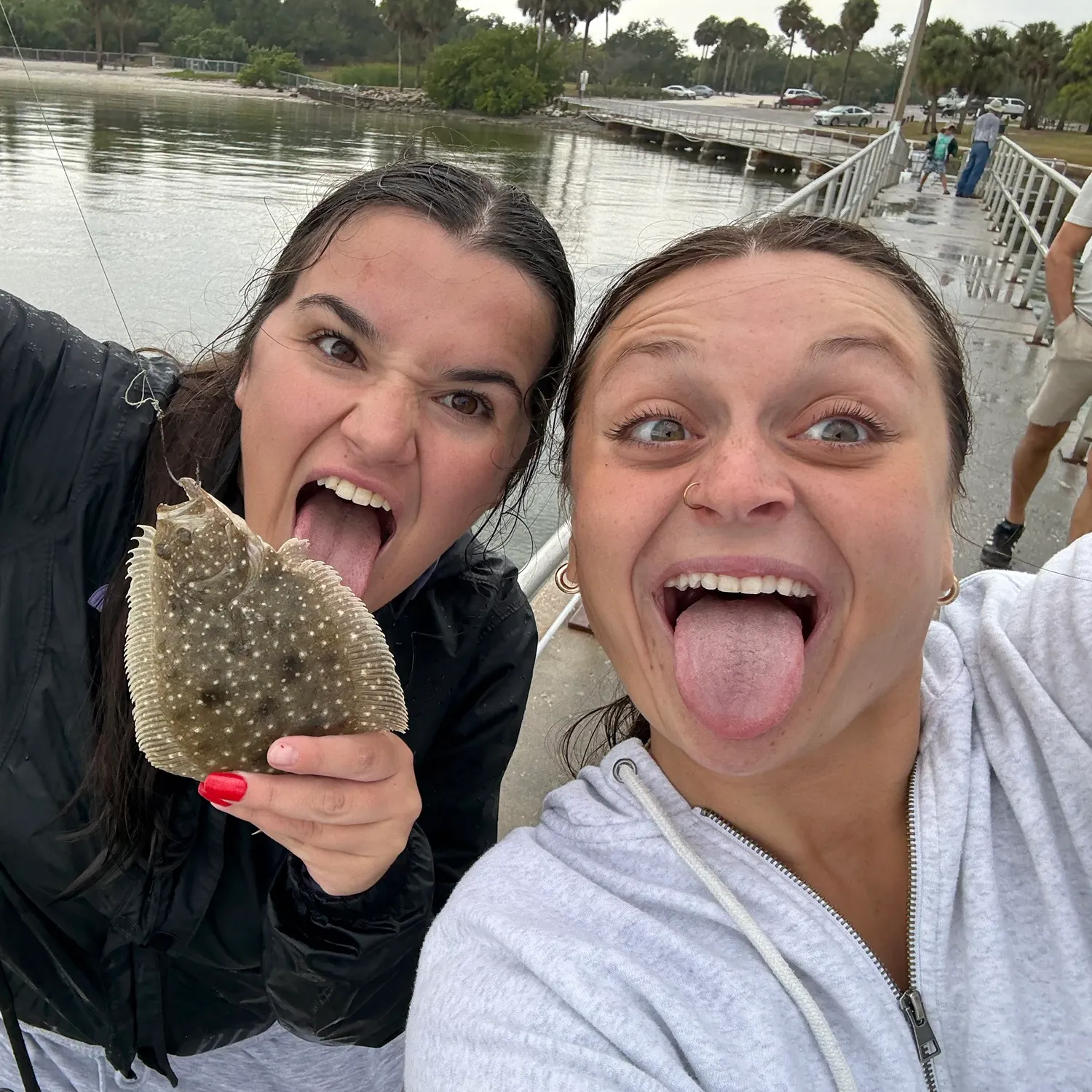 The most recent Summer flounder catches on Fishbrain