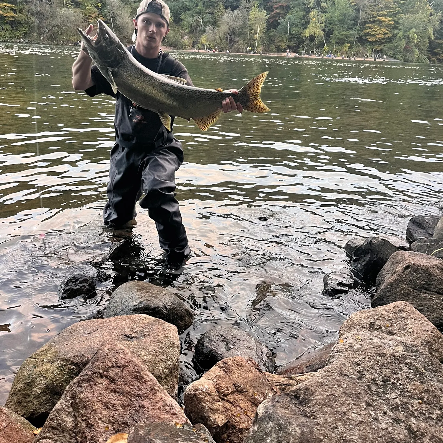 The most recent Chinook salmon catches on Fishbrain
