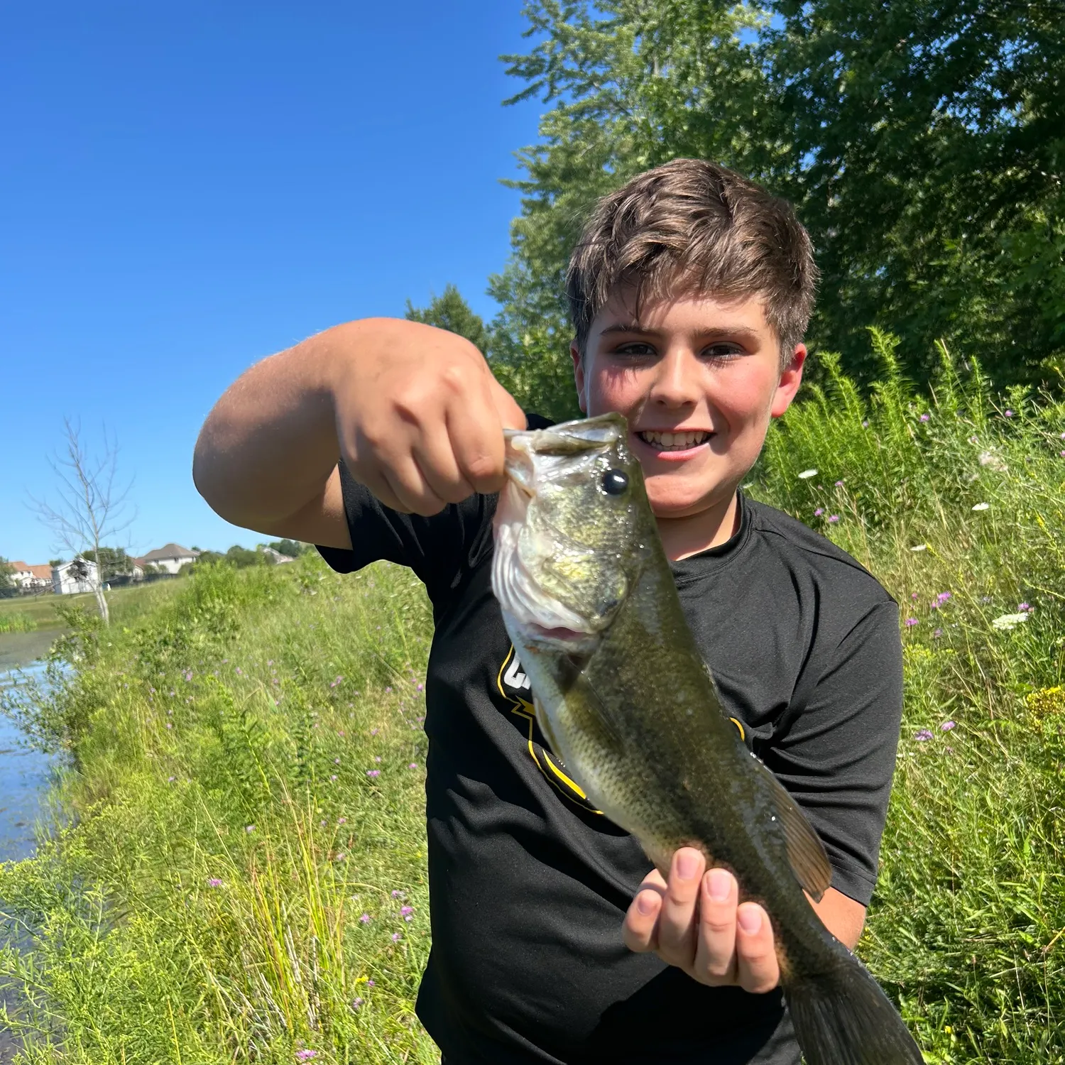 Largemouth bass caught on Fishbrain