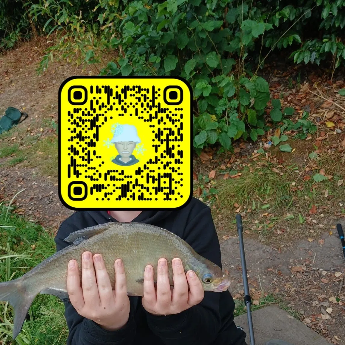 The most recent White bream catches on Fishbrain