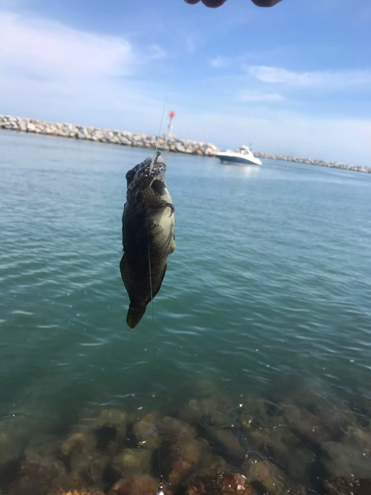 Post image from K.B_Fishing