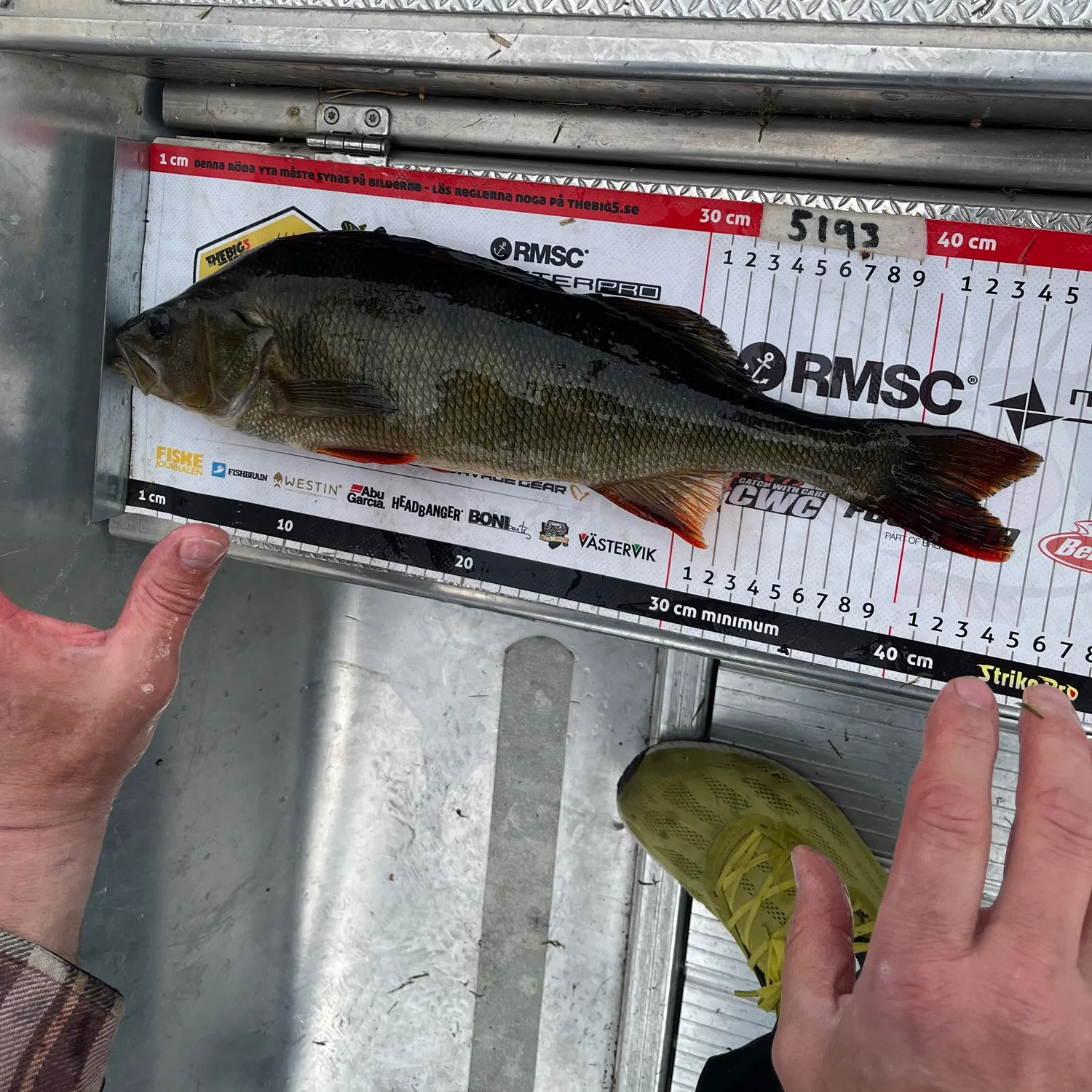 recently logged catches