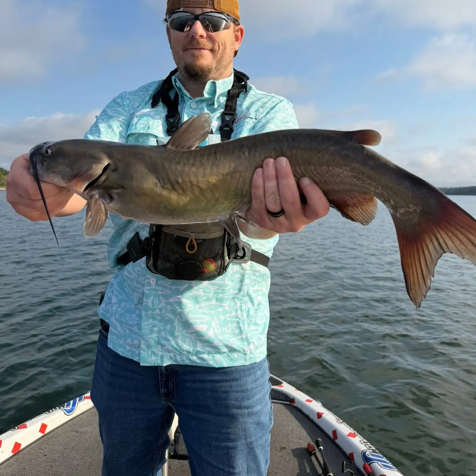 Channel catfish caught on Fishbrain