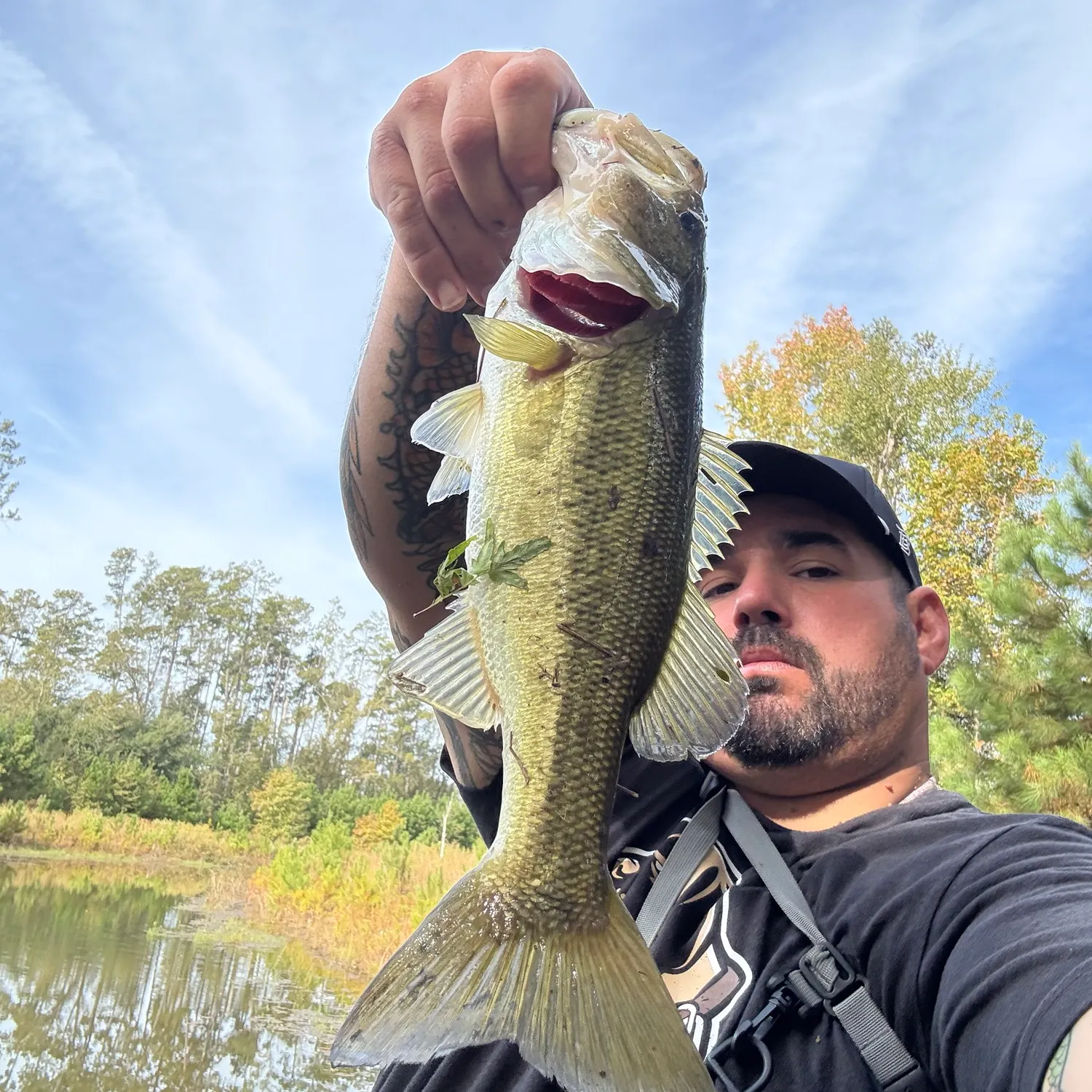 Largemouth bass caught on Fishbrain