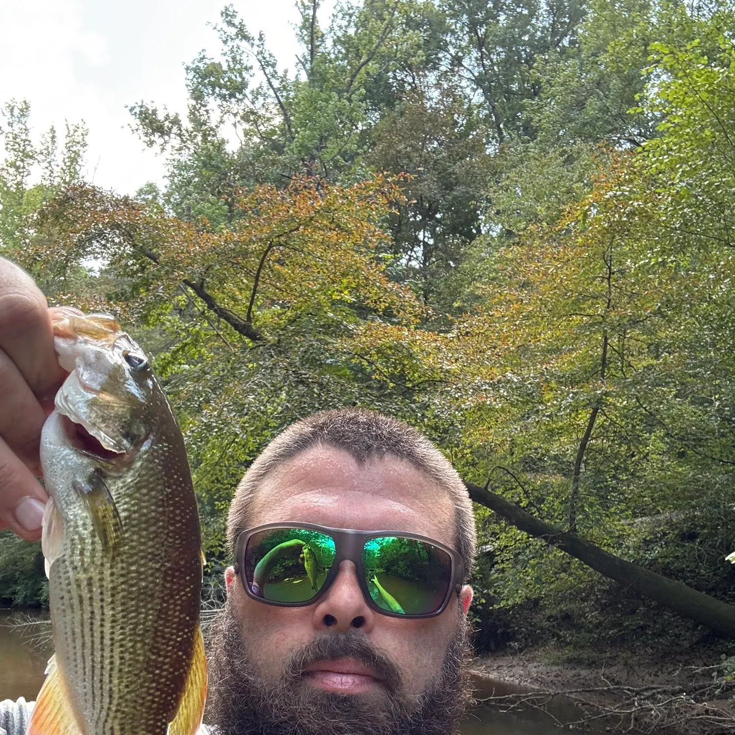 Redeye bass caught on Fishbrain