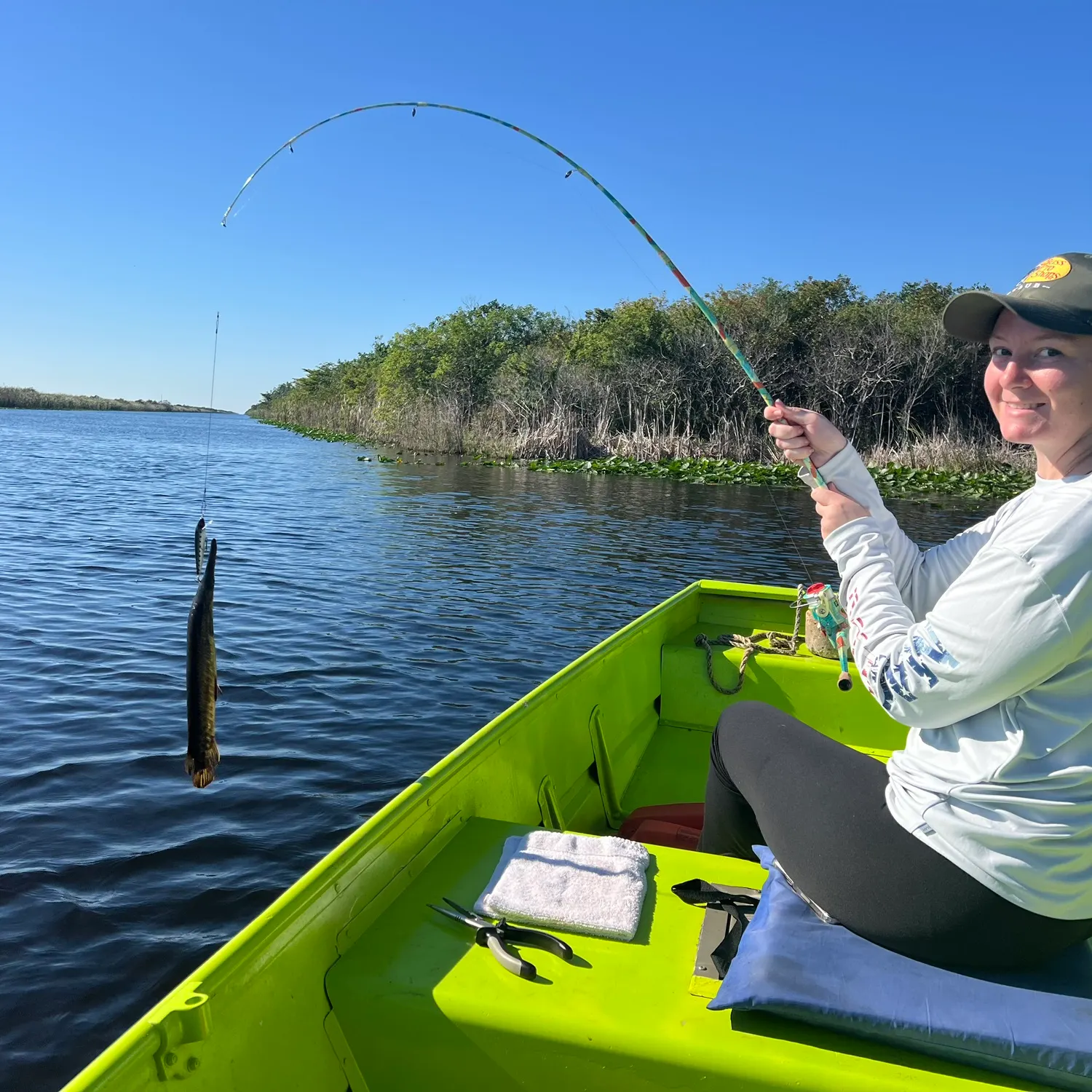The most recent Spotted gar catches on Fishbrain