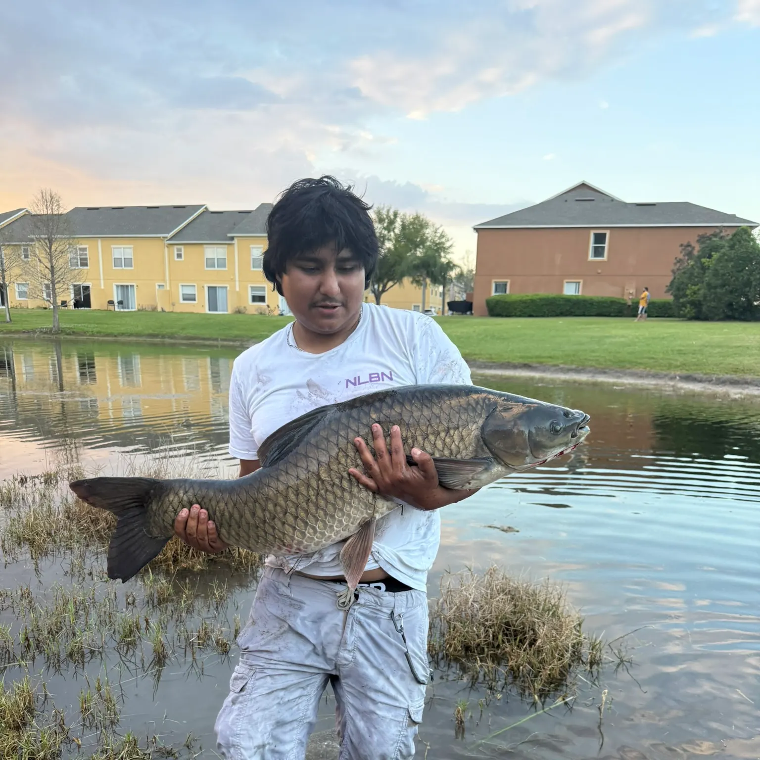 The most recent Grass carp catches on Fishbrain