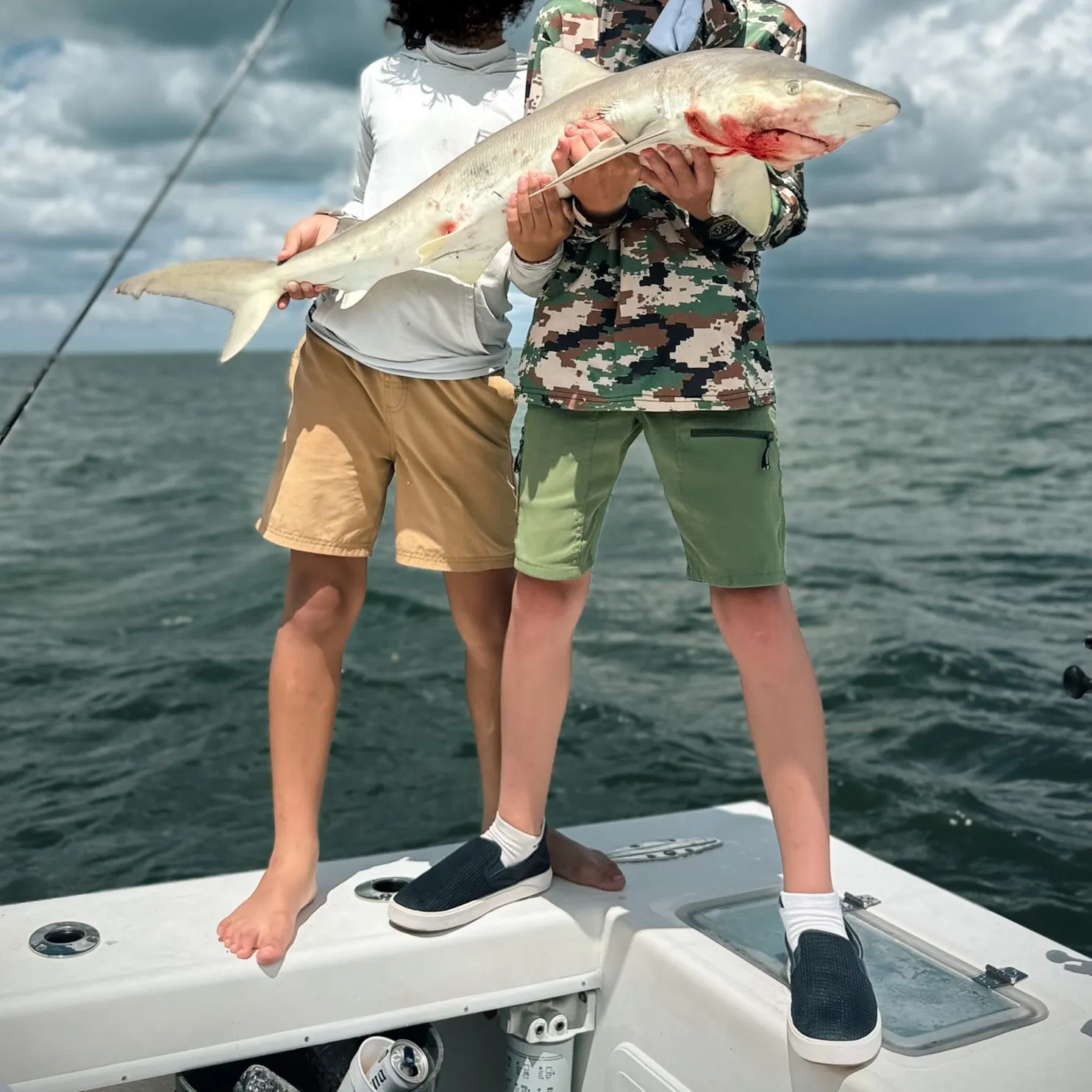 The most recent Blacknose shark catches on Fishbrain