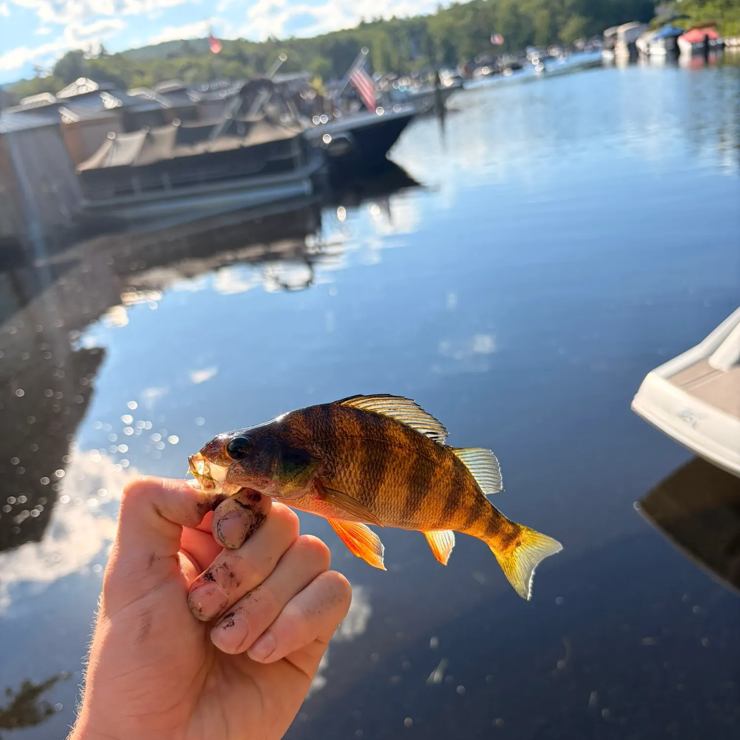 catch
