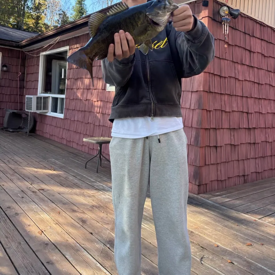 Smallmouth bass caught on Fishbrain