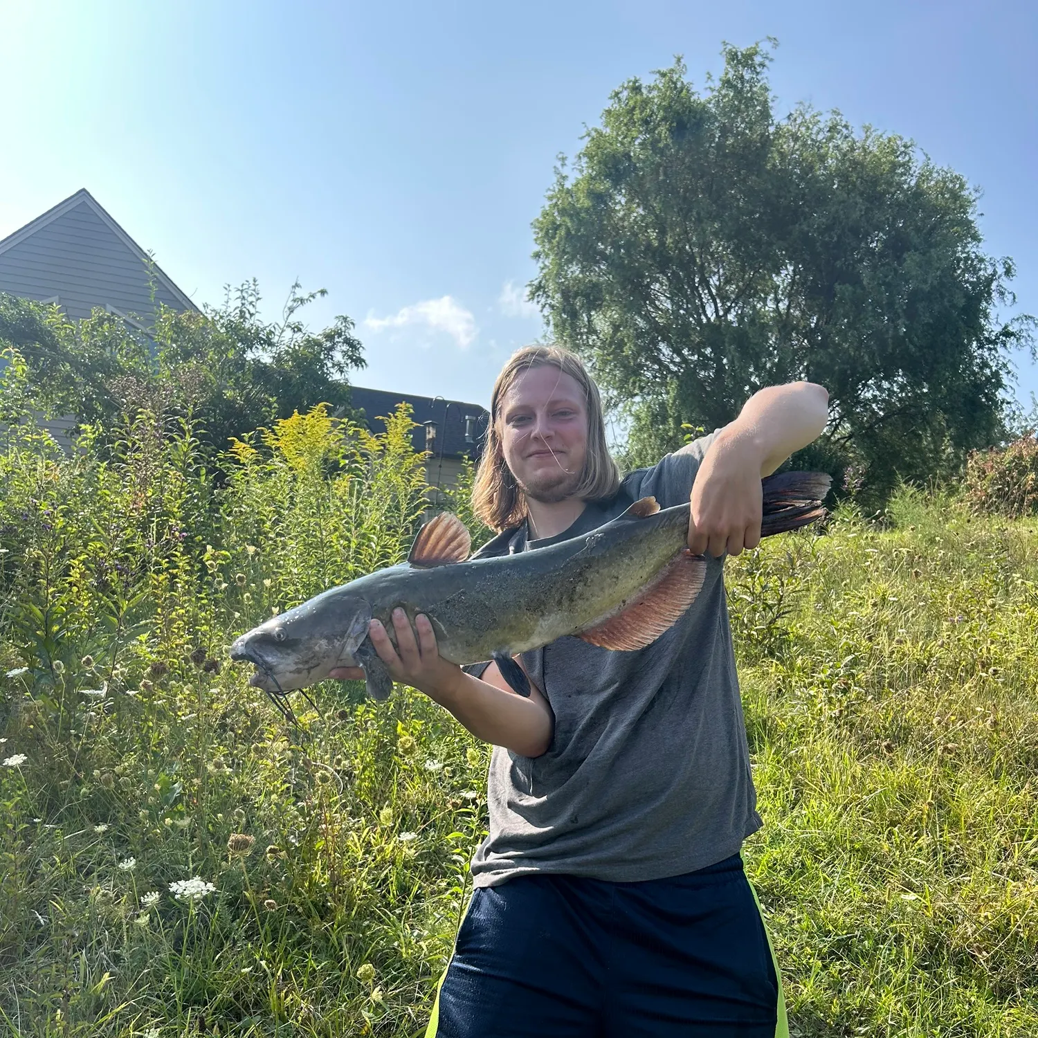 Channel catfish caught on Fishbrain