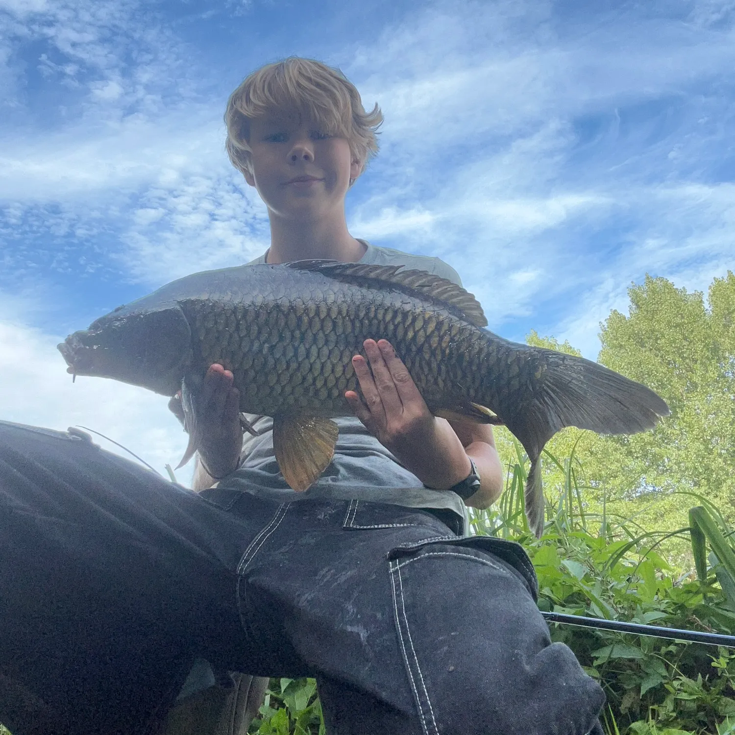 Common carp caught on Fishbrain