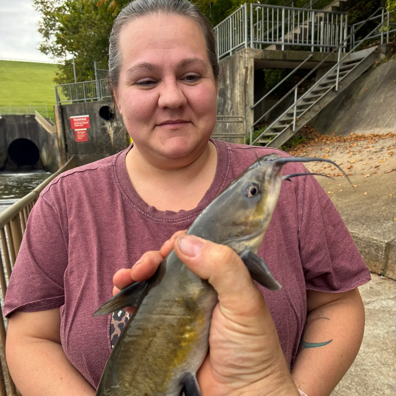 Channel catfish caught on Fishbrain