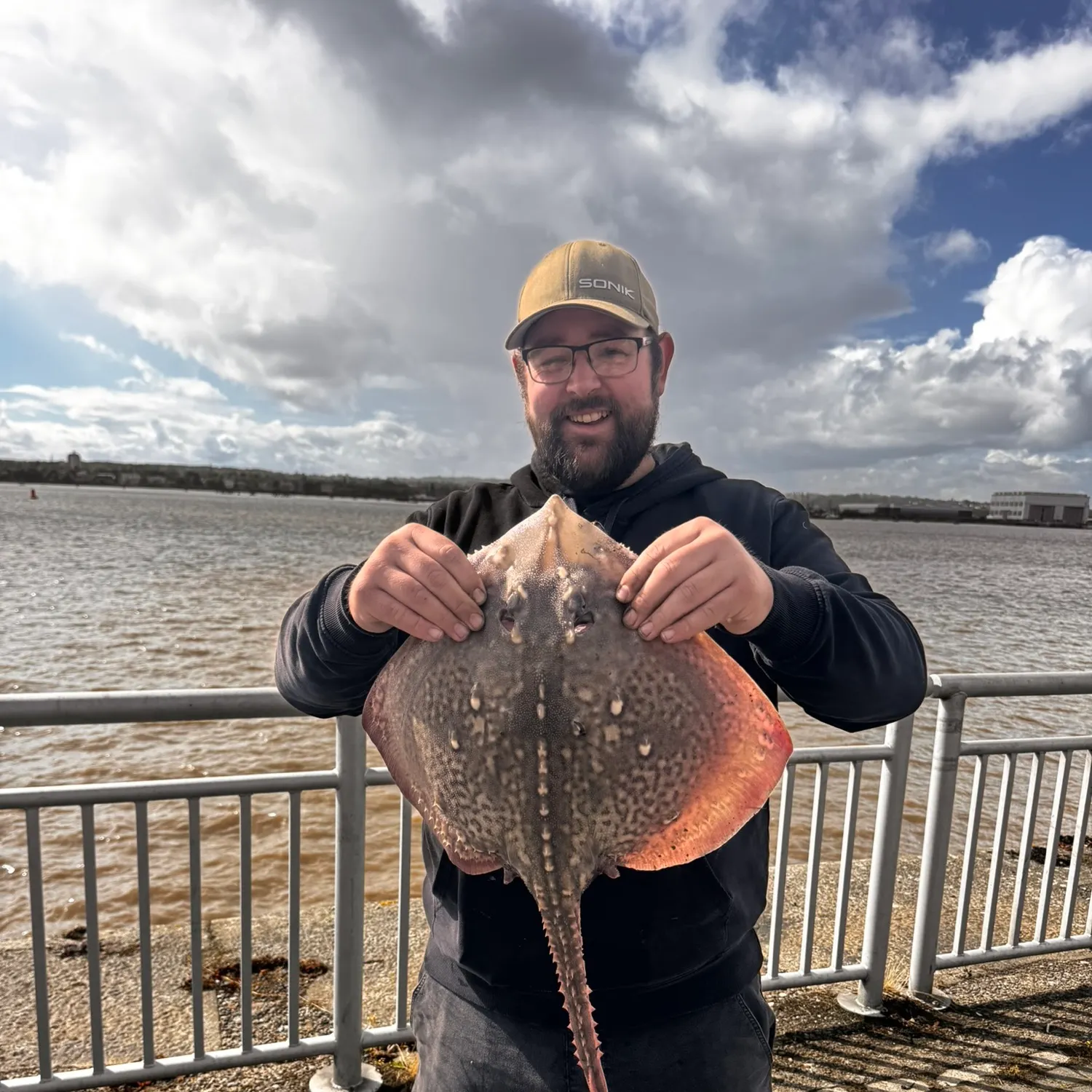 Thornback ray caught on Fishbrain
