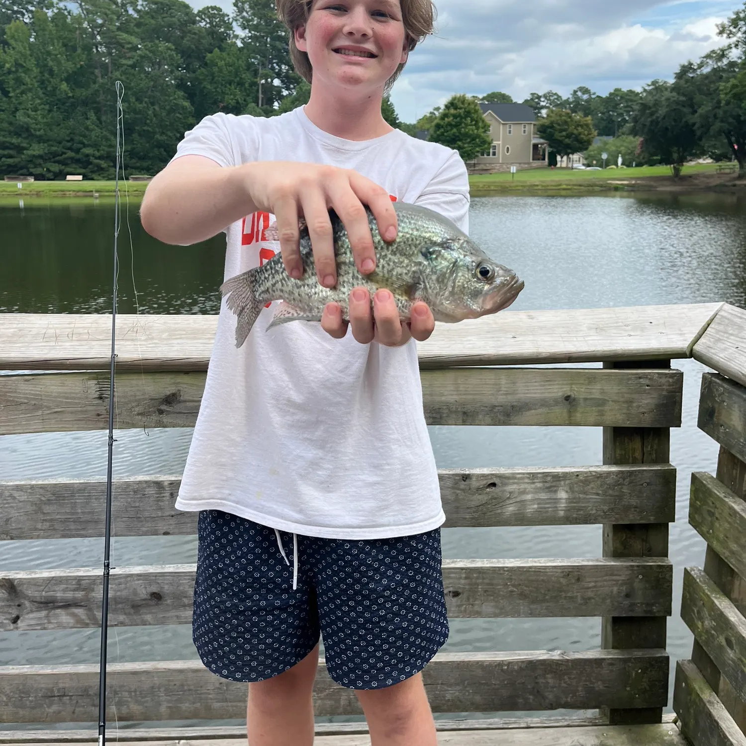 White crappie caught on Fishbrain
