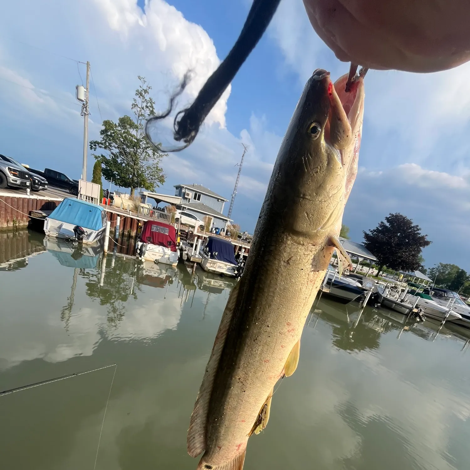 catch