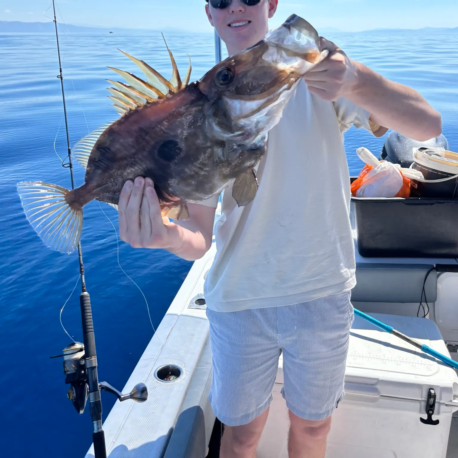 The most recent John dory catches on Fishbrain