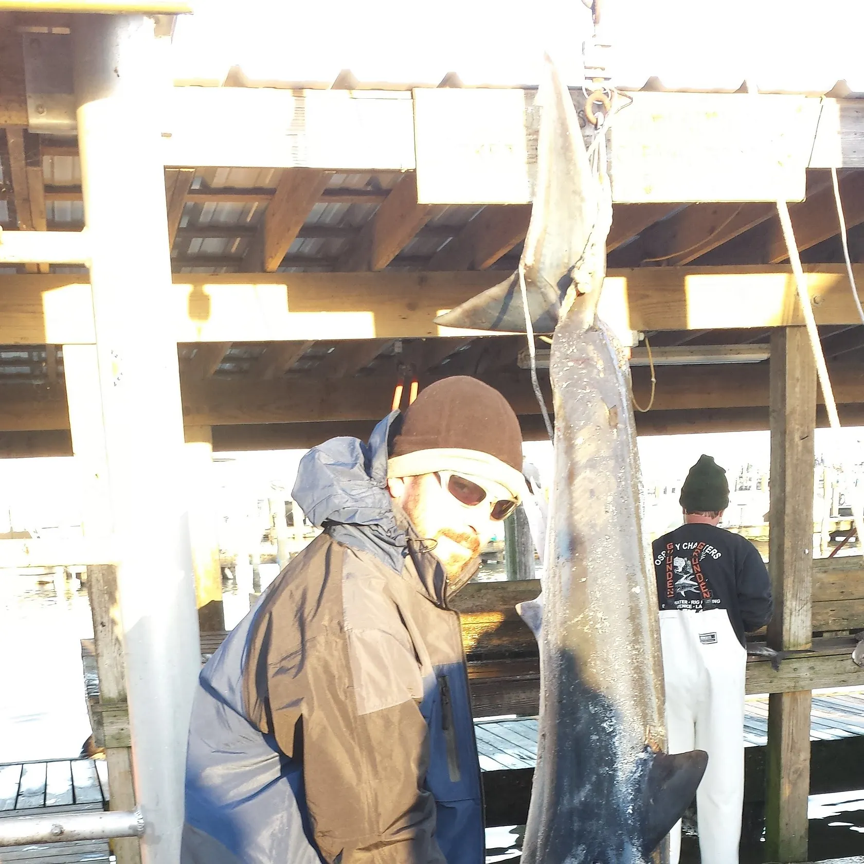 The most recent Shortfin mako shark catches on Fishbrain