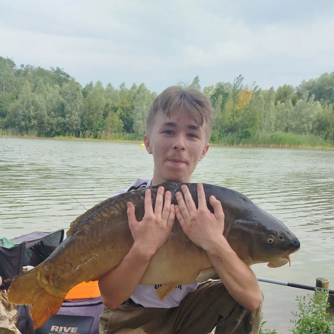 Mirror carp caught on Fishbrain