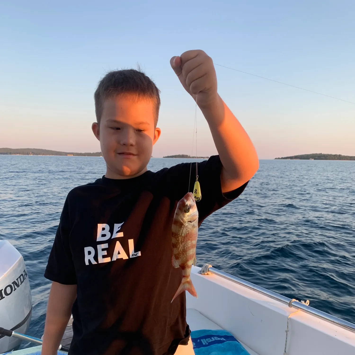The most recent Common seabream catches on Fishbrain
