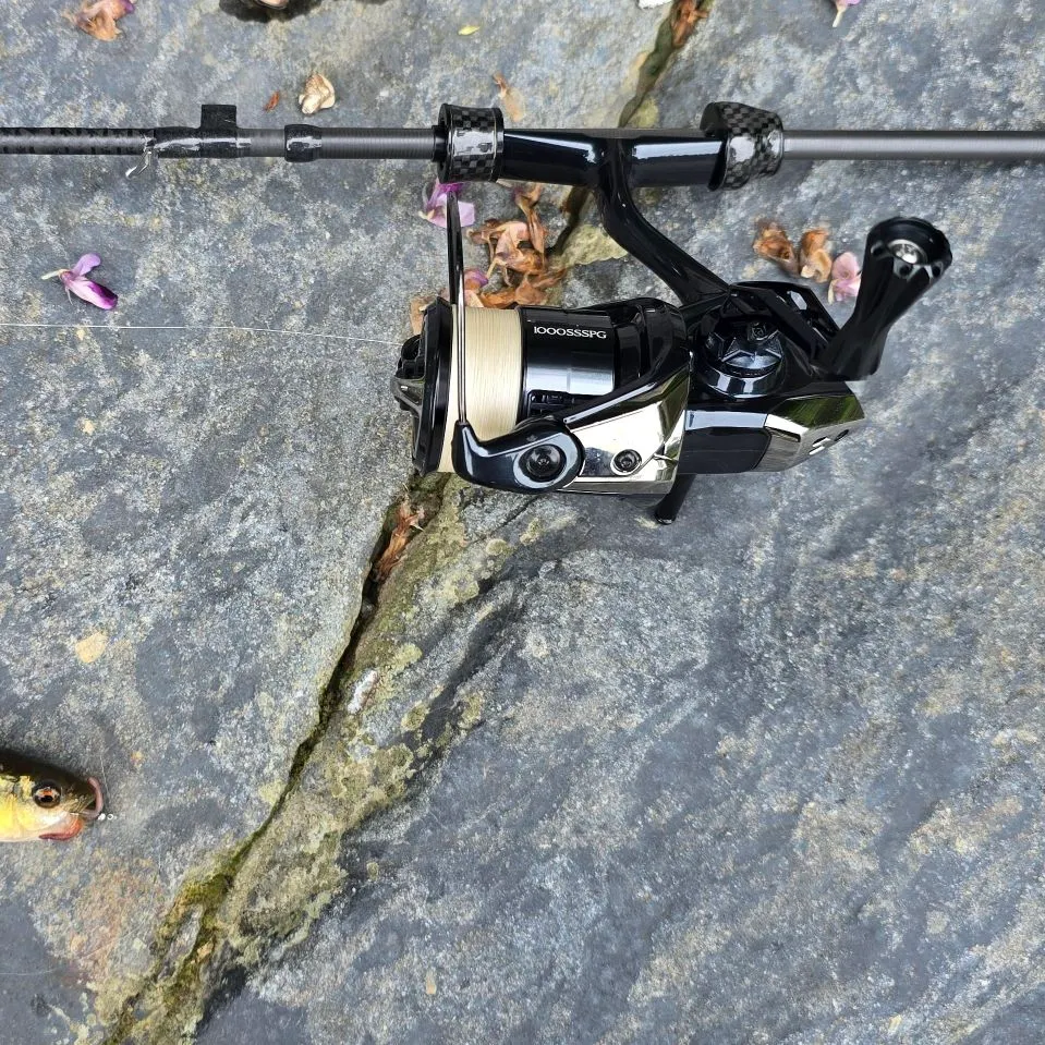 The most recent Dark chub catches on Fishbrain