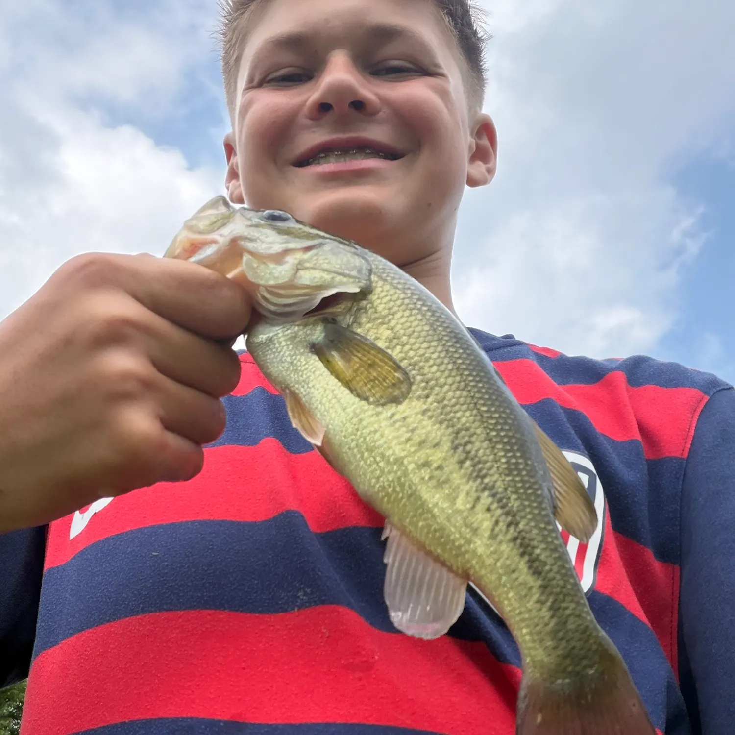The most recent Largemouth bass catches on Fishbrain