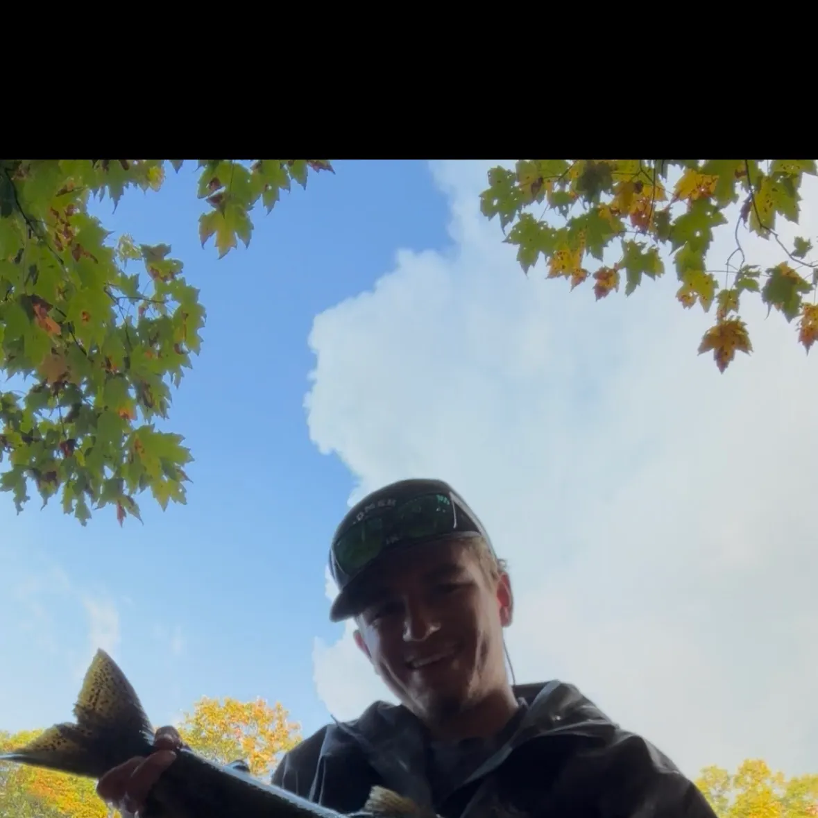 Chinook salmon caught on Fishbrain