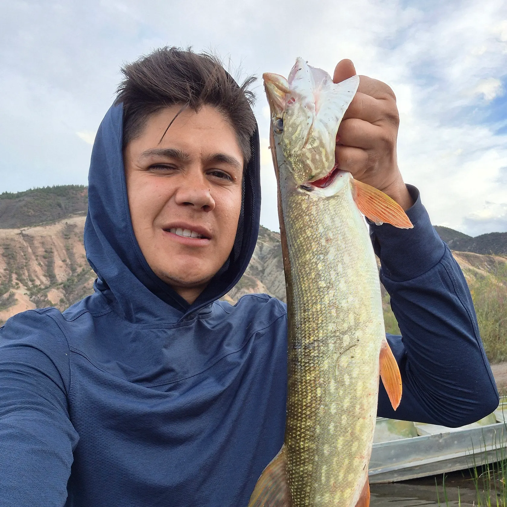 Northern pike caught on Fishbrain